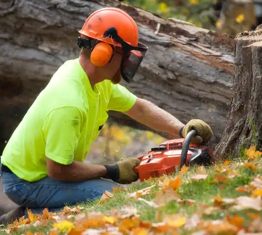 tree services Cooleemee